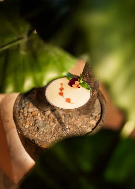 AIR SALAMA cocktails